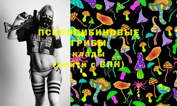 бутират Баксан